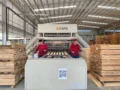 Empleo formal en las regiones: cómo la industria maderera impulsa oportunidades