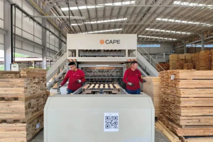 Empleo formal en las regiones: cómo la industria maderera impulsa oportunidades