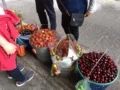 Más de 1,4 millones de trabajadores informales en Bogotá