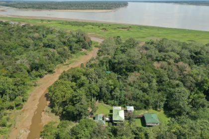 NESsT, el aliado del Festival Cordillera que apoya la guardianía de 1200 m² de selva amazónica 