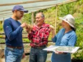 Agroempresas: crecimiento, empleo y transformación