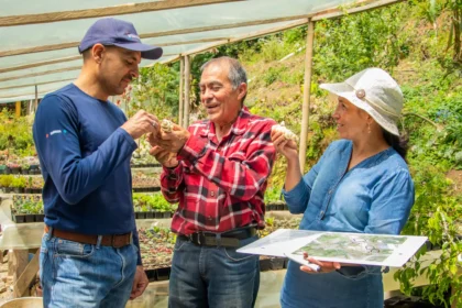 Agroempresas: crecimiento, empleo y transformación