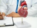 Más de 1,5 millones de colombianos conviven con una enfermedad renal que afecta su corazón