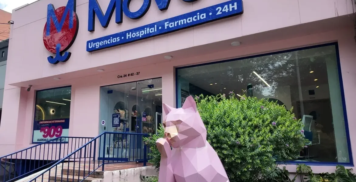 Movet abre tres nuevas sedes en Antioquia