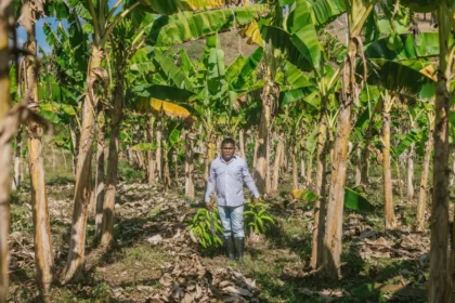 MinAgricultura pone en marcha programa Jóvenes Milagro en 700 municipios