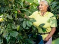 Solo el 36% de las tierras son propiedad de mujeres: el reto de transformar el campo colombiano