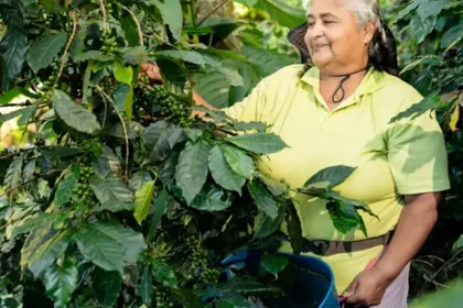 Solo el 36% de las tierras son propiedad de mujeres: el reto de transformar el campo colombiano