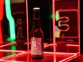 Descubra el origen, el sabor y la anatomía de la IPA y la REDIPA