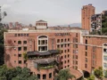 D’Groupe lanza Revman, plataforma con IA que mejora la  competitividad y eficiencia de los hoteles en Colombia
