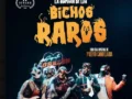 Una aventura rara, pero bien, La Sinfonía de los Bichos Raros