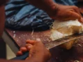La red de bioeconomía del Pacífico conecta a Colombia y Brasil para impulsar el desarrollo sostenible de la región