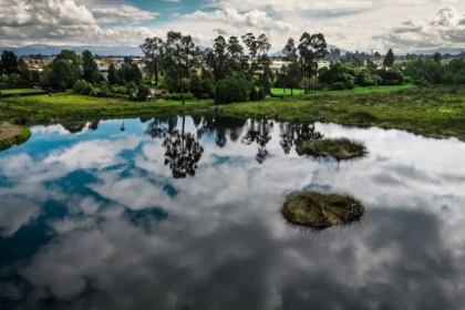 Asocars 30 años de trabajo conjunto por la protección ambiental de Colombia