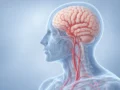 Hospital Padrino: la red premiada que acerca la atención del Ataque Cerebrovascular a las regiones