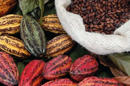 Ferrero presenta sus avances globales en abastecimiento responsable y sostenibilidad del cacao