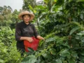 Nariño, Tolima y Cundinamarca lideran la actividad empresarial liderada por mujeres en las regiones