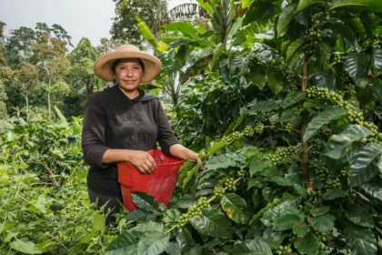 Nariño, Tolima y Cundinamarca lideran la actividad empresarial liderada por mujeres en las regiones