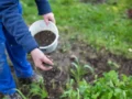 Ciencia, tecnología y economía detrás de los alimentos que llegan a la mesa de los colombianos