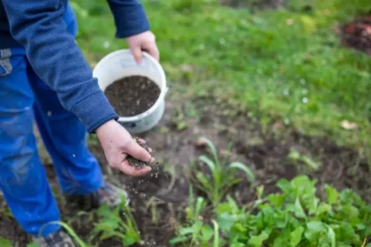 Ciencia, tecnología y economía detrás de los alimentos que llegan a la mesa de los colombianos