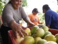 El poder transformador de la mujer rural en la economía y el desarrollo empresarial en Colombia