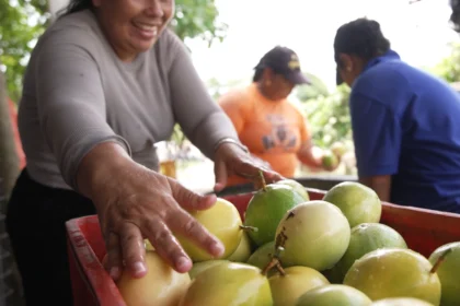 El poder transformador de la mujer rural en la economía y el desarrollo empresarial en Colombia
