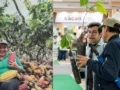 Con récord de US$413 millones en exportaciones, el cacao colombiano llega al Chocoshow