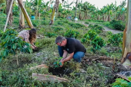 Bancolombia con $18,2 billones en saldo de cartera,  acompaña el crecimiento del agro colombiano