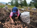 En la región que abastece a Bogotá, comer saludable sigue siendo un desafío