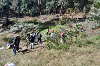 Colegio Refous apuesta por una educación ambiental que transforme hábitos
