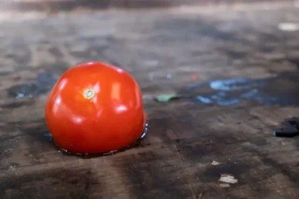 Menos alimentos perdidos para un abastecimiento más eficiente y sostenible en Bogotá y la región central