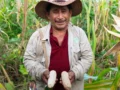 Colombia pone la naturaleza en el centro de la conversación sobre su futuro